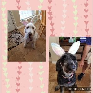 Meet your Posher, Kim